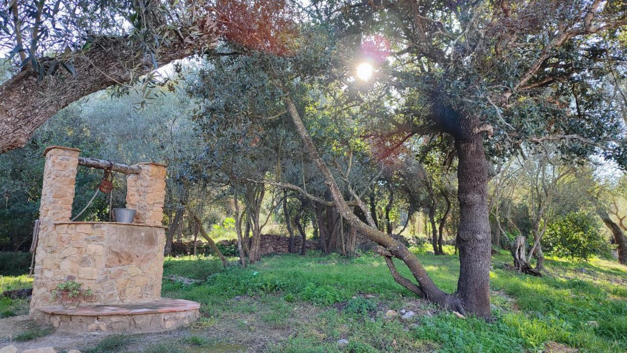 Can Costals Terraza Pals Dış mekan fotoğraf