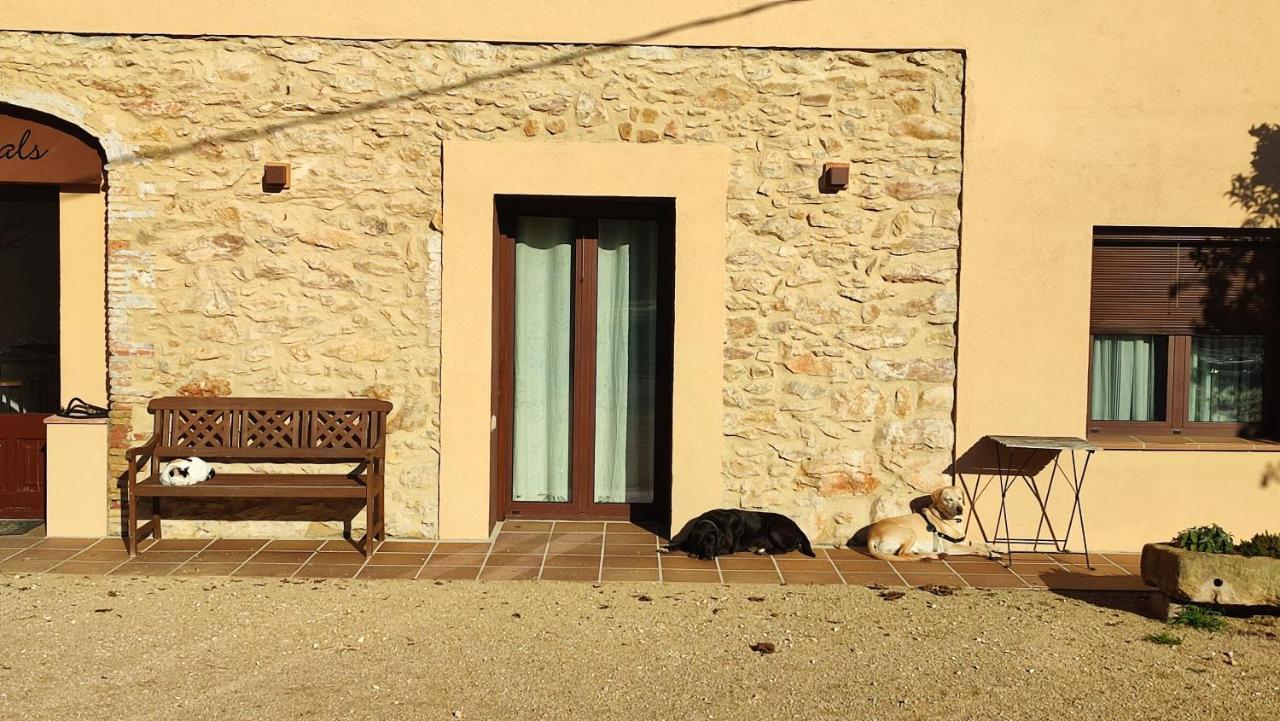 Can Costals Terraza Pals Dış mekan fotoğraf