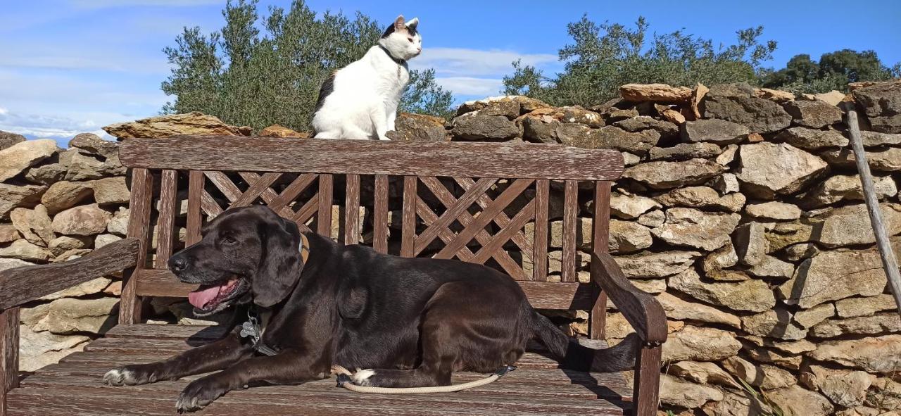 Can Costals Terraza Pals Dış mekan fotoğraf